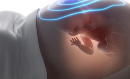 Sự thực lý do thai nhi thích hoạt động vào ban đêm